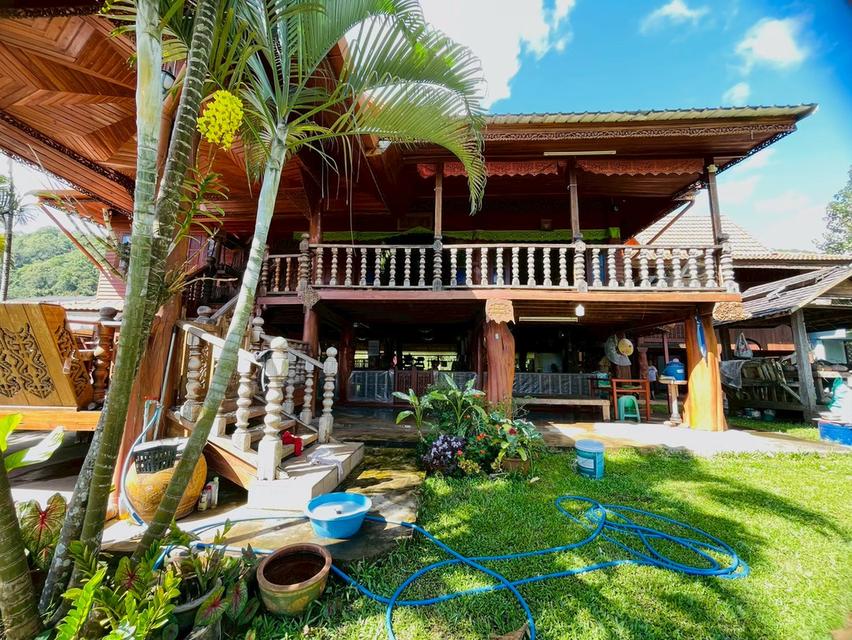 ขายบ้านสวนไม้สักทรงไทย ท่ามกลางธรรมชาติและวิวภูเขาล้อมรอบ 10,000,000 บาท จังหวัดเชียงใหม่ 6