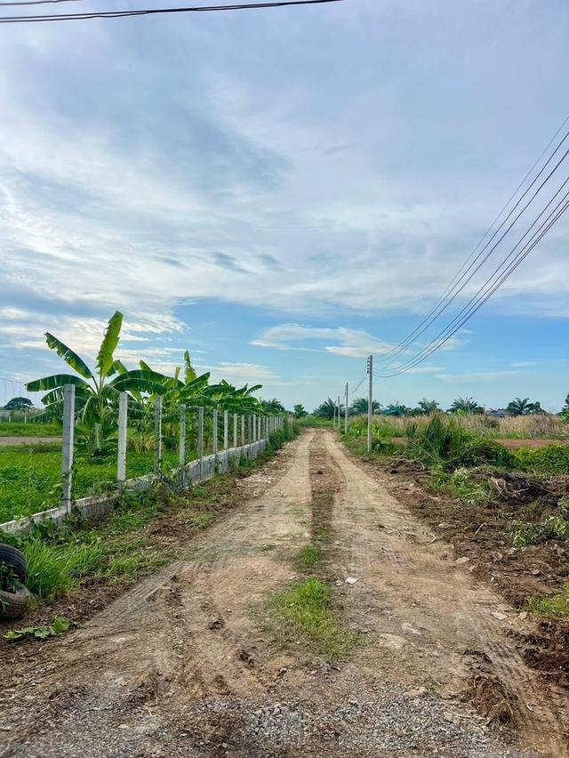 ที่ดินแปลงเล็ก เหมาะทำบ้านพัก ซ.พนารัตน์คลอง 9 อ.หนองเสือ จ.ปทุมธานี 9