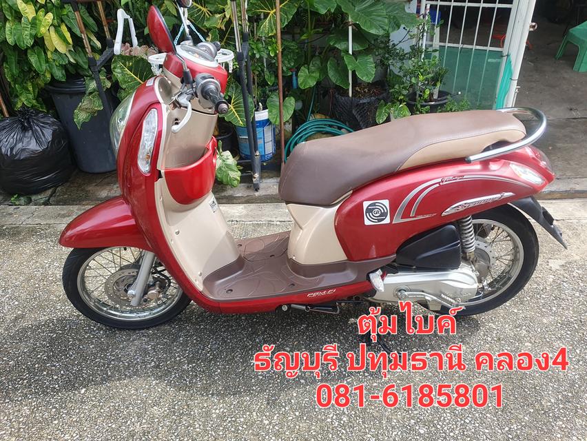 ขาย hoda scoopyi Prestige 2016