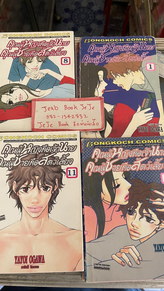 หนังสือการ์ตูน คุณผู้หญิงคือเจ้านาย คุณผู้ชายคือสัตว์เลี้ยง 1-14 จบ  2