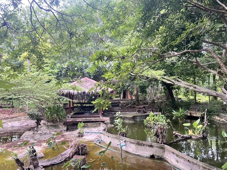 ขาย บ้านสวน 4 ไร่ 2 งาน ตำบลซับจำปา อำเภอท่าหลวง จังหวัดลพบุรี 8