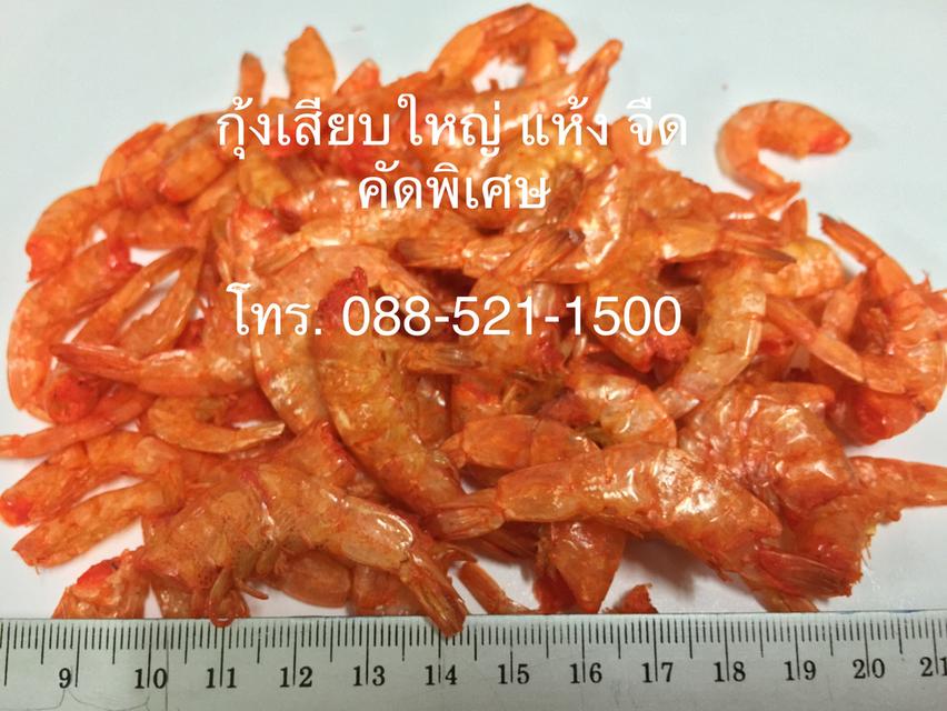 ขายส่ง กุ้งเสียบ กุ้งแก้ว กุ้งแห้งชนิดต่างๆ