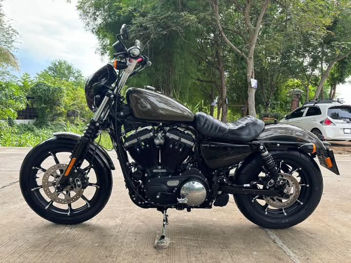 Harley Davidson Iron ปล่อยขายถูก 4