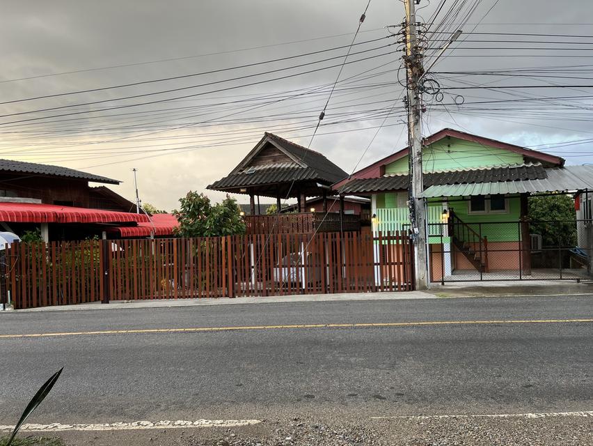 บ้านพร้อมที่ดินเชียงใหม่ 4