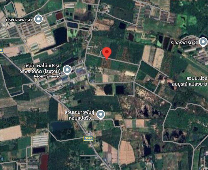 ขายที่ดินวังเย็น 6 ไร่ ซอยหลังโรงงานวรพร ใกล้ถนนเส้น3010-800เมตร อ.แปลงยาว ฉะเชิงเทรา 1