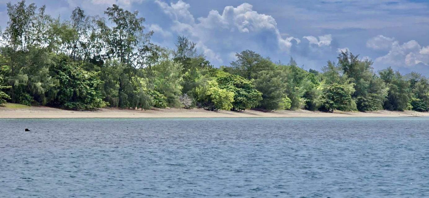 ที่ดินเกาะราบ ใกล้กับเกาะสมุย เดินทางด้วยเรือ หางยาว เรือสปีดโบ๊ท 17