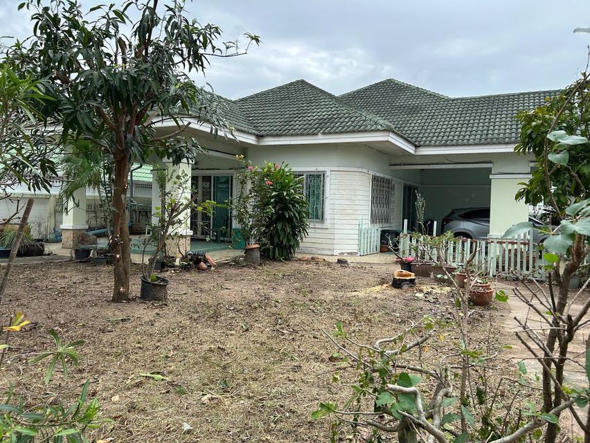 บ้านเดี่ยวหมู่บ้านชาลิตา 2 บางละมุง ชลบุรี เนือ้ที่ 142 ตรว. 1