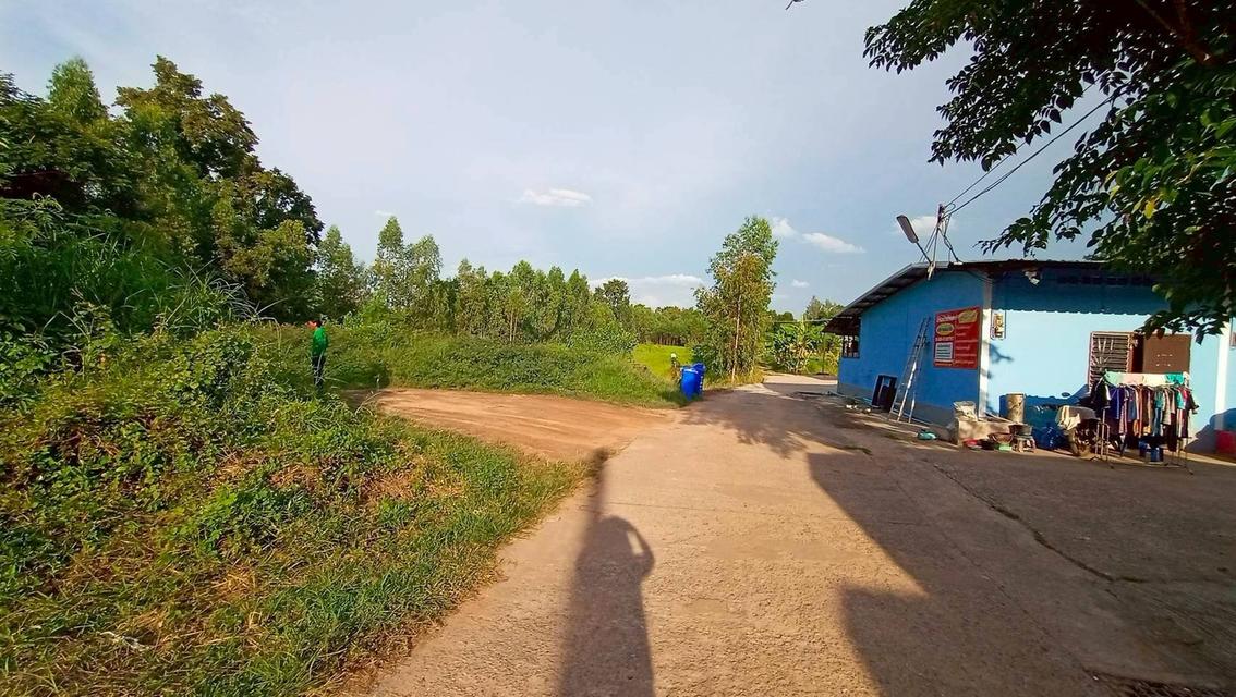 ที่ดินถมแล้ว 175.1 ตร.ว.พื้นที่สูงกว่าระดับน้ำทะเล 180 เมตร เดินทางเข้าออกสะดวก อยู่ในย่านความมีความเจริญขึ้นทุกปี ติดกับถนนซอยเทศบาลหน้ากว้าง 19 เมตร 8