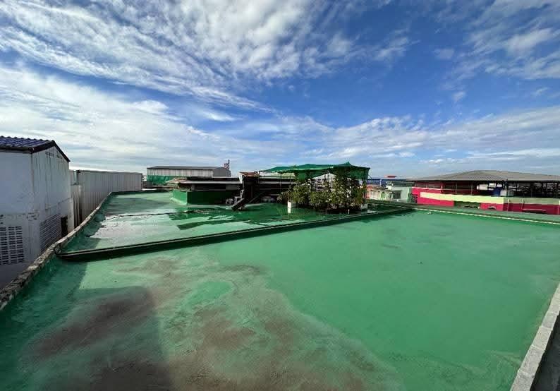 ขายโรงงานสถานที่ผลิตผักและผลไม้ 18