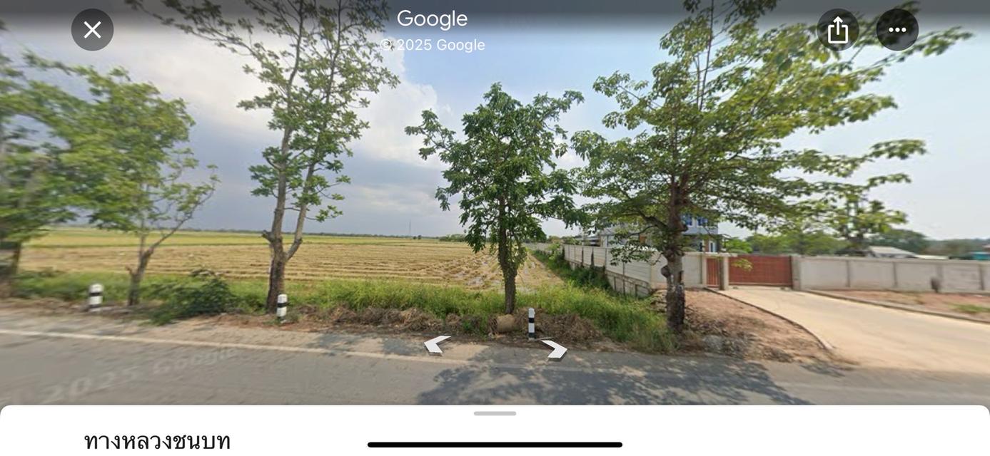ขายที่ดิน พิษณุโลก 3