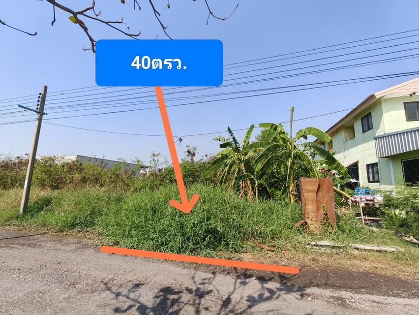 ขายที่ดิน เมืองเอก บางปู 40 ตรว. 3