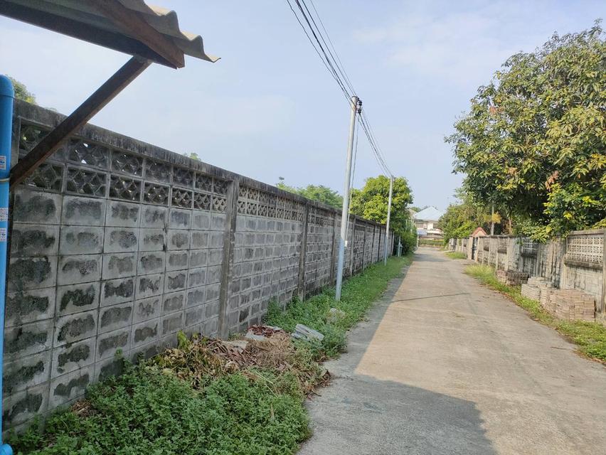 ให้เช่าที่ดินเปล่าถมแล้วในถนนมัยลาภ กรุงเทพมหานคร 13