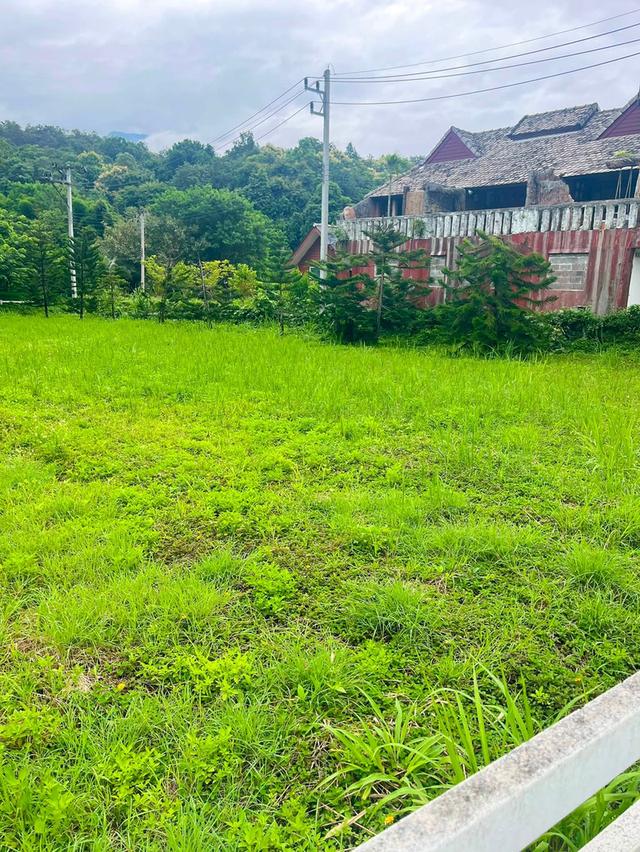 📣🏡 ที่ดินวิวดอย #บ้านปง อ.หางดง เชียงใหม่ 3