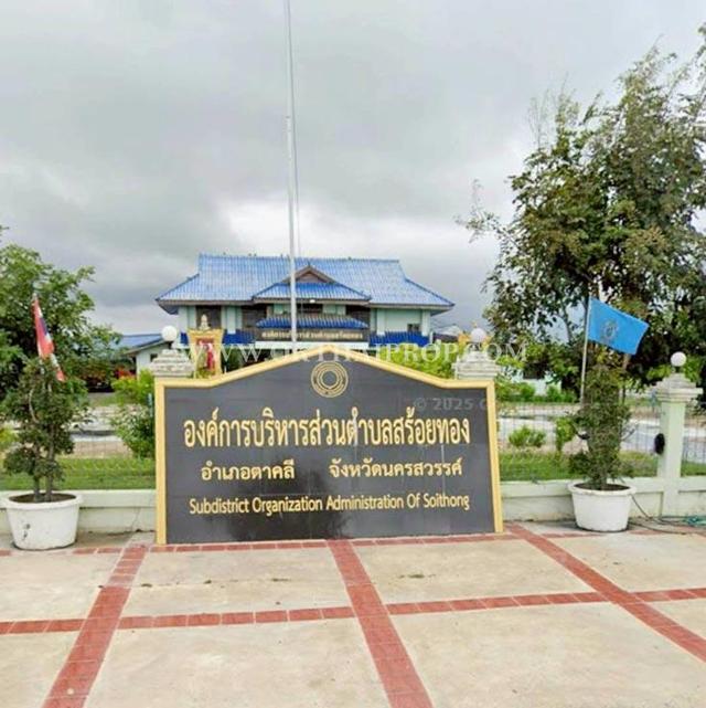 ขายที่ดินพร้อมต้นสัก ใกล้อบต.สร้อยทอง อ.ตาคลี จ.นครสวรรค์ 12