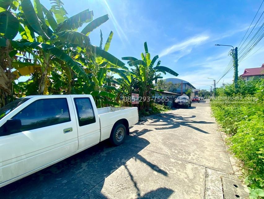 ขายที่ดิน ถนนสุขาภิบาล5 ซอย34 สายไหม แปลงสวย พื้นที่ 40.6 ตารางวา เข้าซอยเพียง 300 เมตร ใกล้จุดขึ้น-ลงทางด่วนสุขาภิบาล5 9