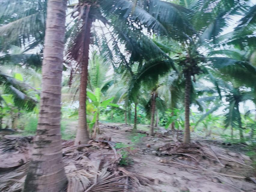 ที่ดินหัวหิน ห้วยมงคล 3