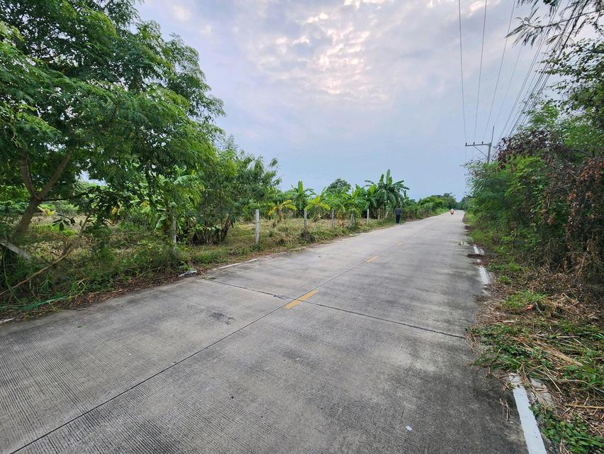 ขายที่ดิน รังสิต นครนายก คลอง7 แปลงสวย ขนาด1 ไร่เต็ม หนองเสือ- ซ.บึงบอน 10 ทำเลดีในราคาจับต้องได้ ✨ เพียง 1.5ล้านบาท 14