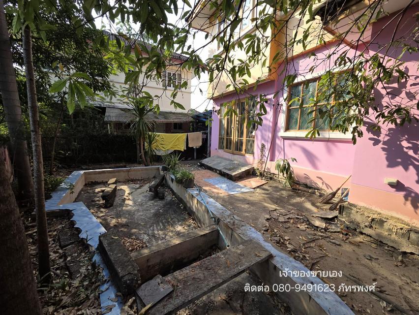 🔥 ขายต่ำกว่าราคาประเมิน! แปลงมุม "ทรงถุงเงิน" 62.2 ตร.ว. (ฟรีโอน) เจ้าของขายเอง - หมู่บ้านชัยพฤกษ์ บางขุนเทียน 5