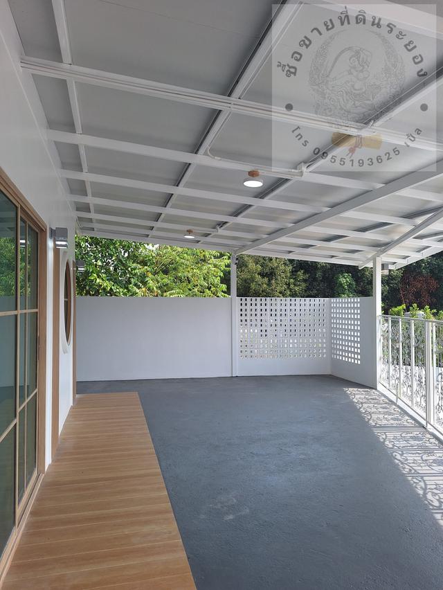 สวนทุเรียนแปลงเล็กระยอง 8