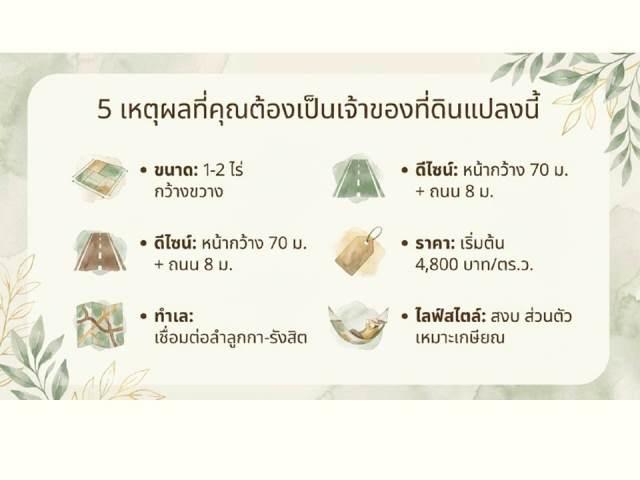 ขายที่ดินติดถนนลำลูกกา คลอง13 13