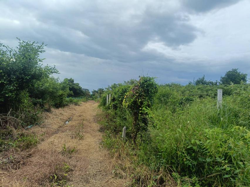 ที่ดินเปล่า ไม่มีสิ่งปลูกสร้าง 4