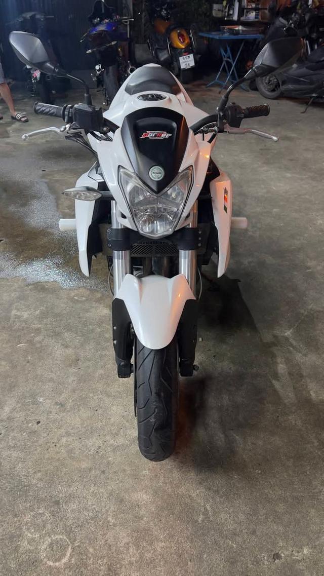 ขาย Benelli BN 3