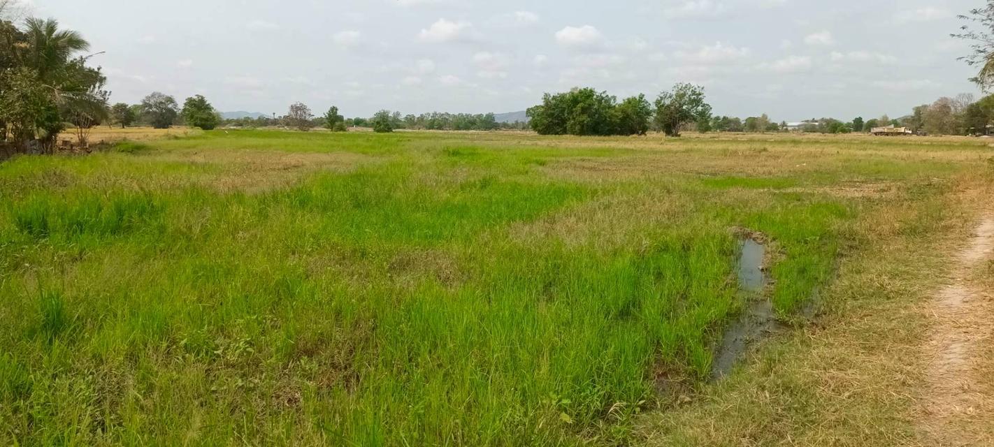 ที่ดิน 128 ไร่ โฉนด ตั้งอยู่ตำบลบางชัน อำเภอเมือง จังหวัดสระบุรี  4