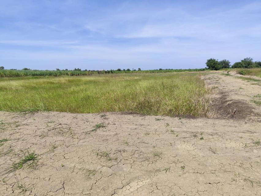 แปลง 1-9 ไร่แปลงสวย อากาศดี มีบ่อน้ำใส แบ่งได้ ที่ใกล้หอพัก นกฮูกเก้า ม. เกษตร กำแพงแสน 12