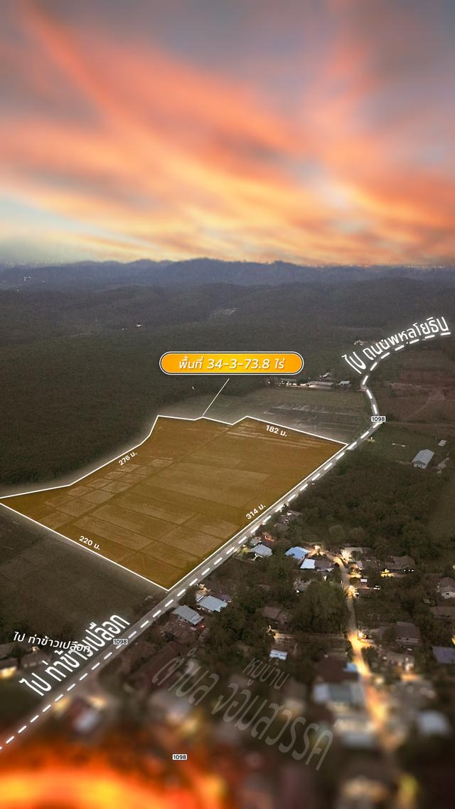 ที่นาผืนใหญ่ 34 ไร่เศษ อ.แม่จัน จ.เชียงราย ใกล้ไร่ชาฉุยฟง ทำเลดี วิวสวย เหมาะแก่การลงทุน 10
