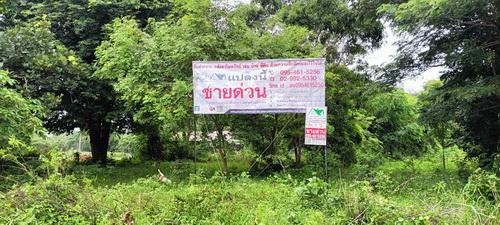 ที่ดิน 2 ไร่ ต.สูงเนิน อ.สูงเนิน จ.นครราชสีมา 1