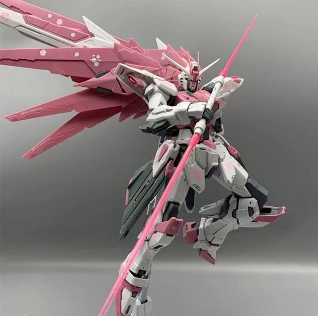 โมเดล Sakura Pink Free Warrior  2