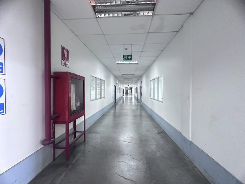 ขายโรงงานอุตสหกรรม ขายโรงงานอุตสหกรรม โรงงานผลิต/โกดังสินค้า พื้นที่สีม่วง ที่ตั้ง: นำไกร, ลาดกระบัง 3