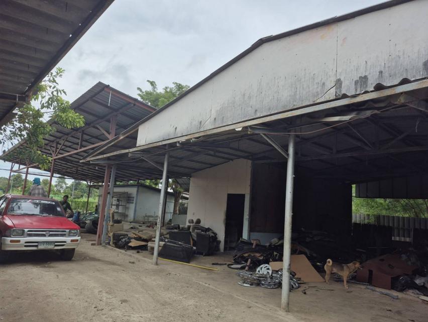 ให้เช่า ที่ดินพร้อมสิ่งปลูกสร้าง หนองปลาไหล บางละมุง ชุลบุรี 1-2-41 ไร่