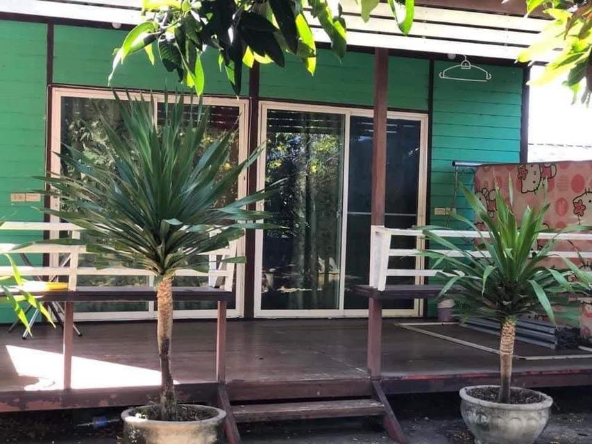 ที่ดิน 7