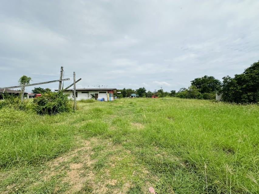 ขายที่ดิน หนองแซง สระบุรี ถมแล้ว 1.2ล้าน/ไร่ 16