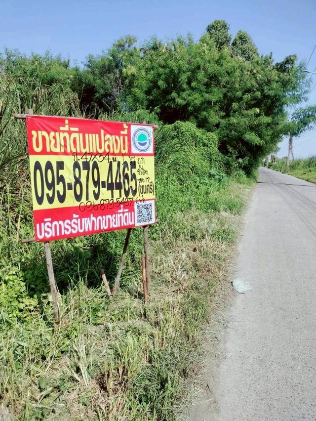 Vายด่วนnที่ดินรังสิต 1 ไร่ ติดถนนคอนกรีตสาธารณะ ซอย รังสิต-นครนายก 17 อ.ธัญบุรี จ.ปทุมธานี 9