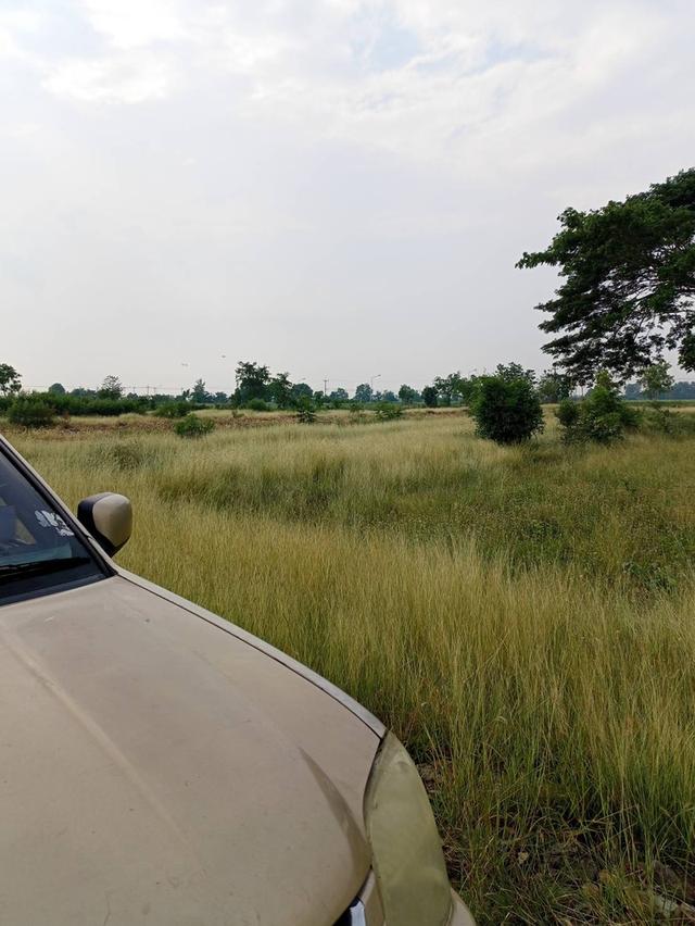 ที่ดินเปล่าแปลงเล็กราคาถูก 3