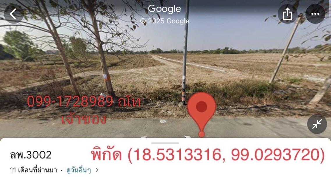 ที่ดิน จ.ลำพูน