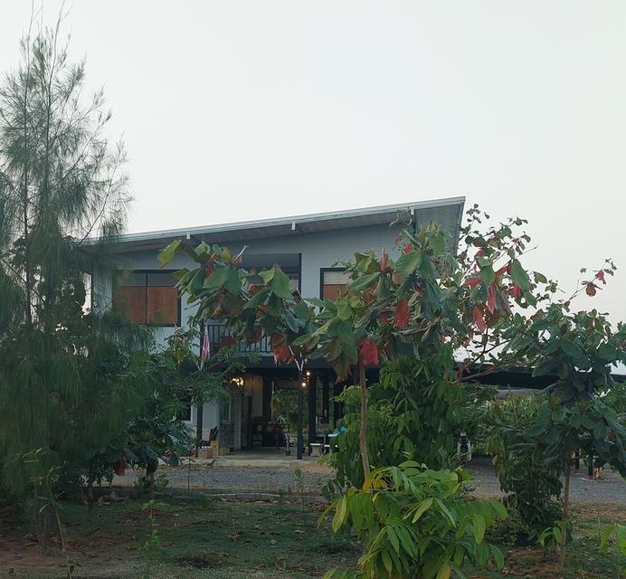 ที่ดินสองไร่พร้อมบ้านสวน 19