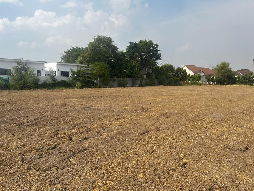 ขายที่ดินจัดสรรสวนเกษตรไผ่ขวาง 7 แปลง 8