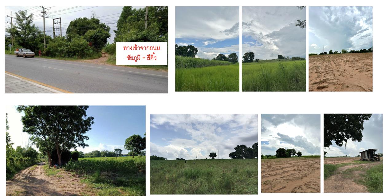 ขายที่ดิน ทั้งหมด 39 ไร่ 3 งาน (ราคาคุยได้ เจ้าของขายเอง) 2
