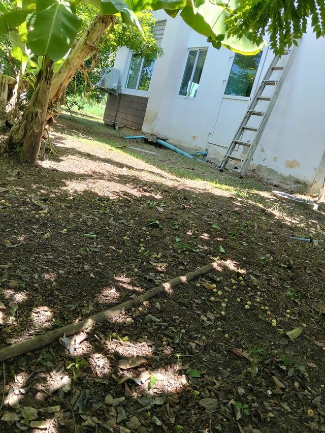 บ้านเดี่ยว2 ชั้น 3 ห้องนอน 2 ห้องน้ำ 16