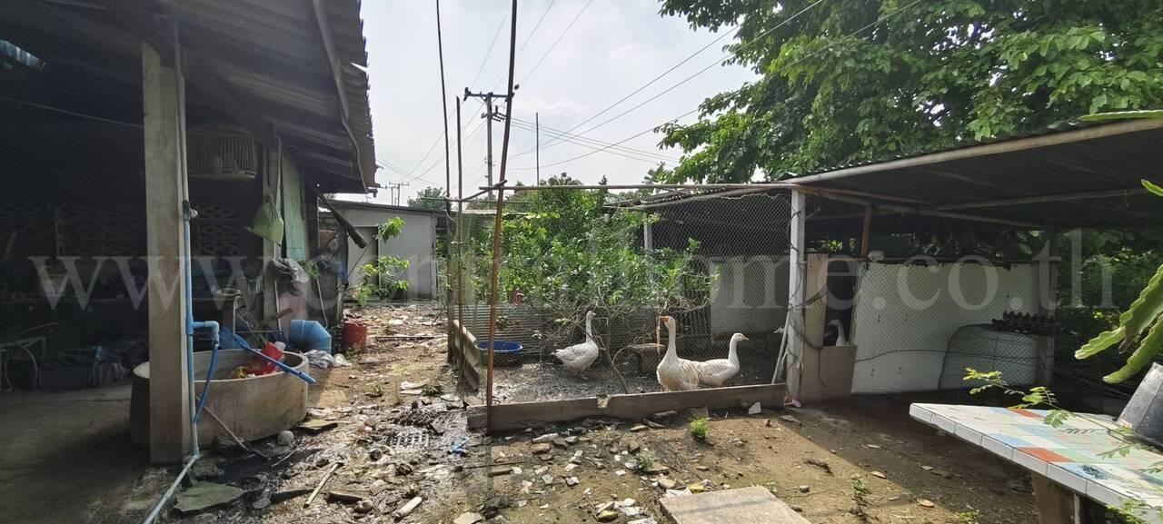 ที่ดินพร้อมสิ่งปลูกสร้าง  2-2-25 ไร่ บางเลน นครปฐม 10