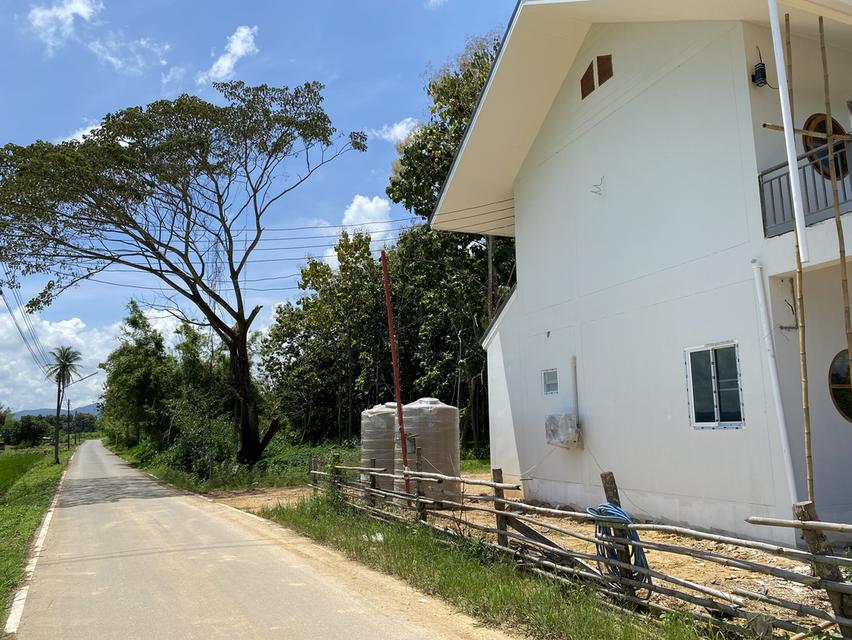 ที่ดินใกล้เส้นทางรถไฟความเร็วสูงสายใหม่เด่นชัยเชียงของพร้อมต้นสักอายุ 15-20 ปี 7