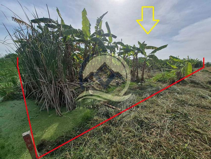 ขาย ที่ดินเปล่า 1-1-33 ไร่ ( 533 ตร.ว. ) ซ.บึงบอน 11 ถ.รังสิต-นครนายก  จ.ปทุมธานี  12