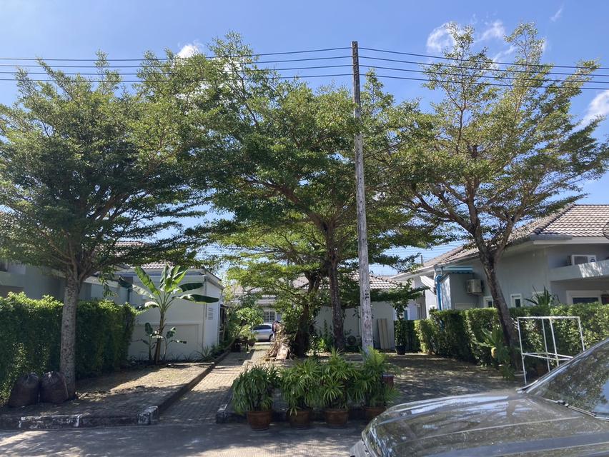 ขายบ้านทาวเฮาส์ 1 ชั้นทำเลทอง ตรงข้ามโรบินสันฉลอง บ้านหลังมุมหน้าสวนหน้าบ้านไม่ติดใครตกแต่งไว้พร้อมอยู่ 17