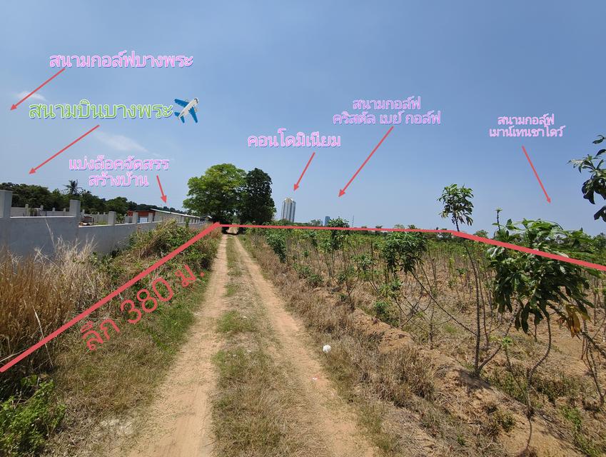 ขายที่ดินบางพระ 34 ไร่ ทำเลน่าลงทุน อ.ศรีราชา จ.ชลบุรี ใกล้สนามกอล์ฟ 3แห่ง,ใกล้สนามบินบางพระ 1