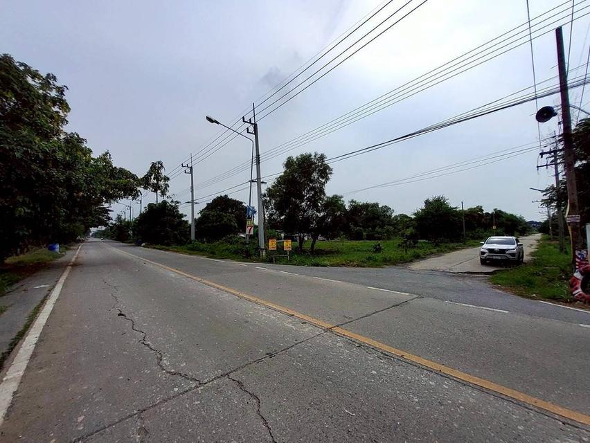 V ายถูกที่ดินใกล้วัดโพธิ์นิ่ม 225 ตารางวา(แบ่งได้) ถมแล้วทั้งแปลง ติดถนนคอนกรีต อ.สามโคก จ.ปทุมธานี 4