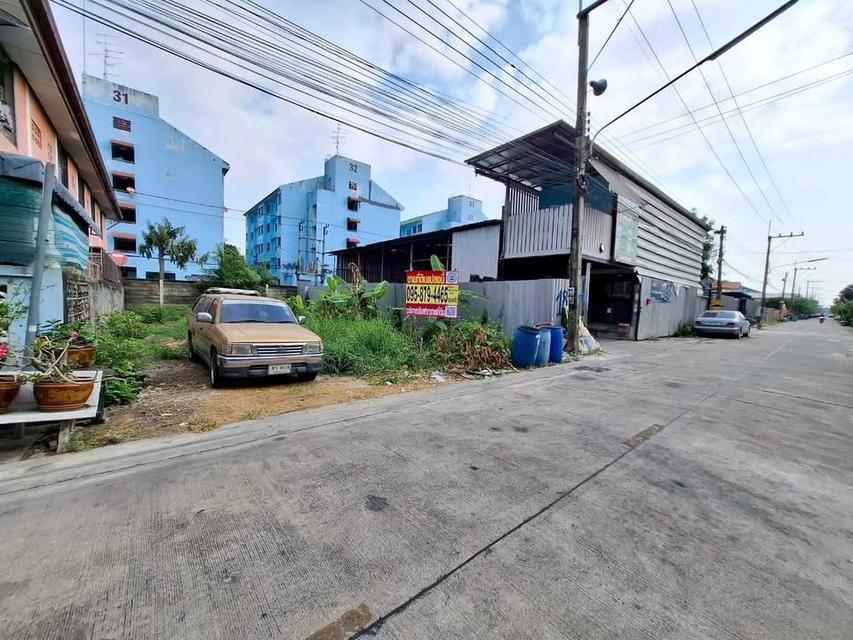 ขายด่วนที่ดิน 52 ตารางวา ติดถนนคอนกรีตสาธารณะ รังสิต-นครนายก ชอย 24 อ.ธัญบุรี จ.ปทุมธานี 4