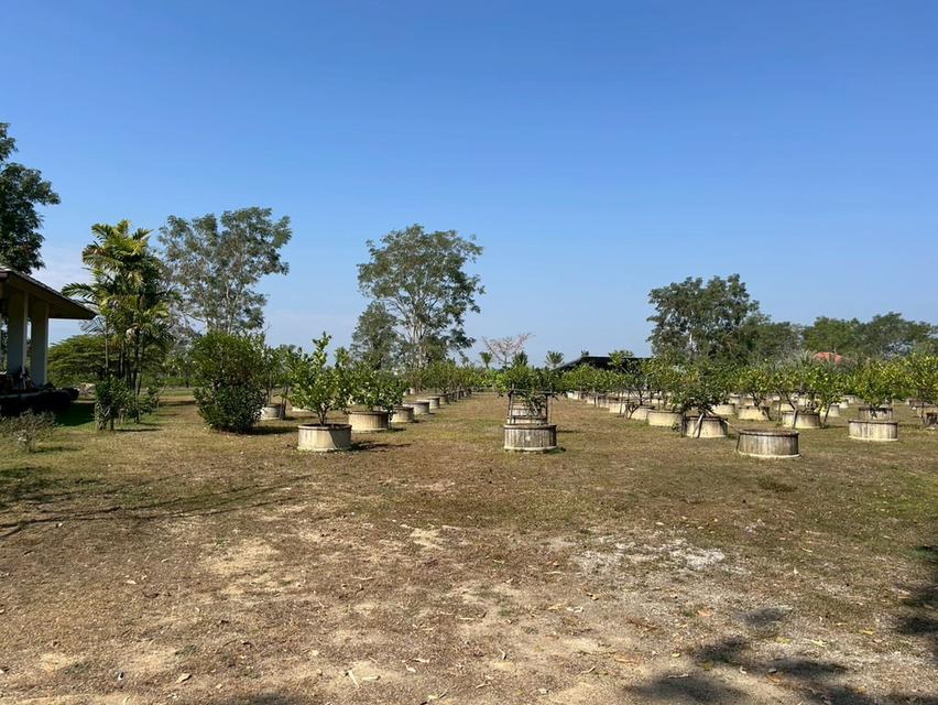 ขายบ้านและพร้อมที่ดิน 16